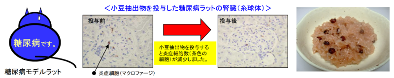 佐藤 伸 研究室 図版2