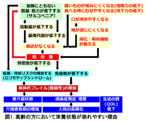 清水 亮 研究室 図版3