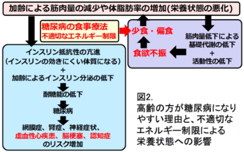 清水 亮 研究室 図版4
